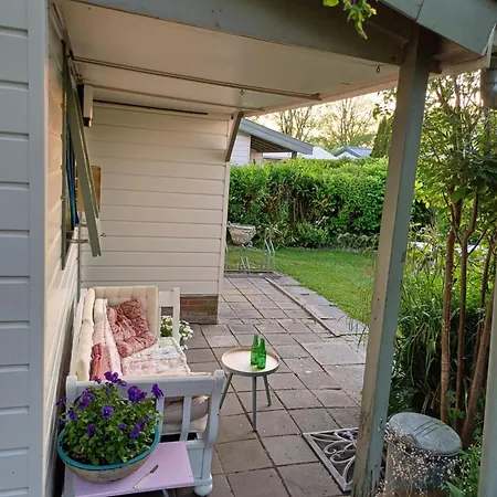 Vrije Vogels Tuin Met Privacy Warmenhuizen