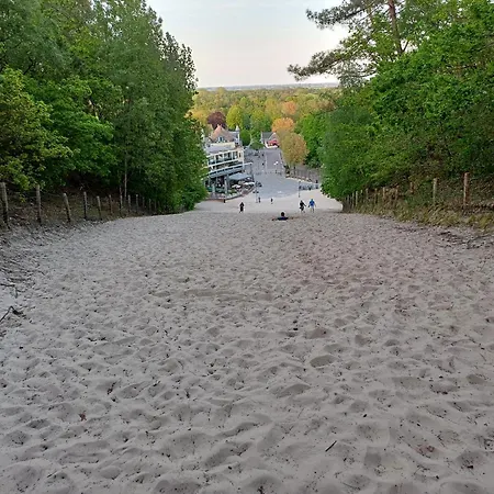 펜션 Vrije Vogels 와멘후젠