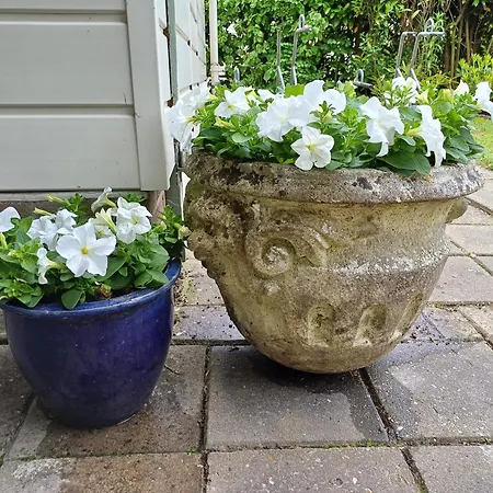 Vrije Vogels Nu Ook Met Verwarmde Badkamer