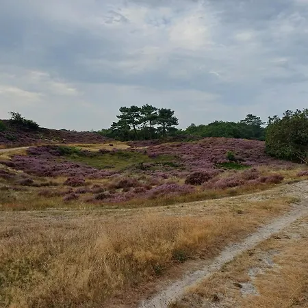 Vrije Vogels Nu Ook Met Verwarmde Badkamer * Warmenhuizen