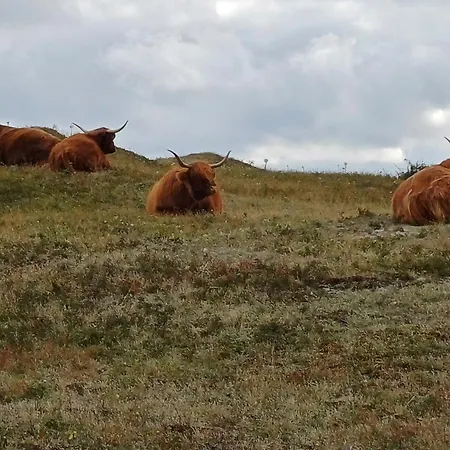 Vrije Vogels Nu Ook Met Verwarmde Badkamer