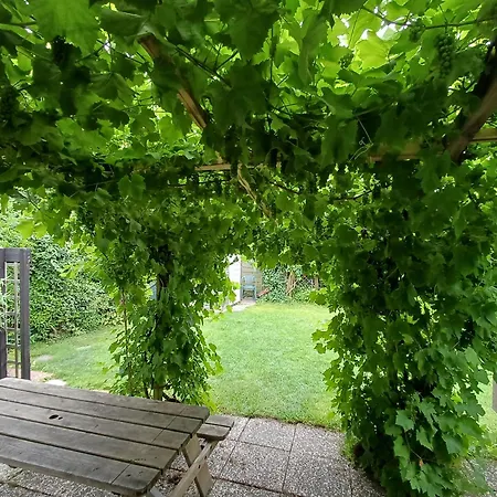 Vrije Vogels Tuin Met Privacy 別荘 *