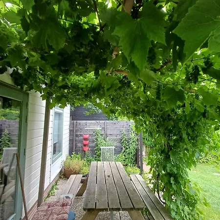 別荘 Vrije Vogels Tuin Met Privacy *