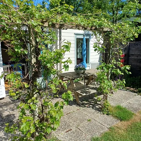 Vrije Vogels Tuin Met Privacy *