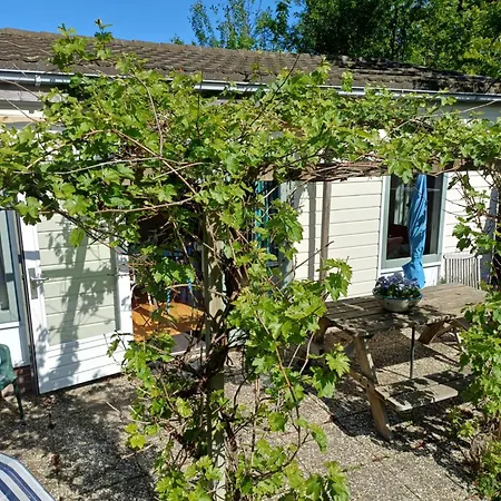 Vrije Vogels Tuin Met Privacy * Warmenhuizen