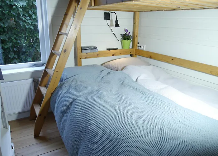 Vrije Vogels Tuin Met Privacy Warmenhuizen