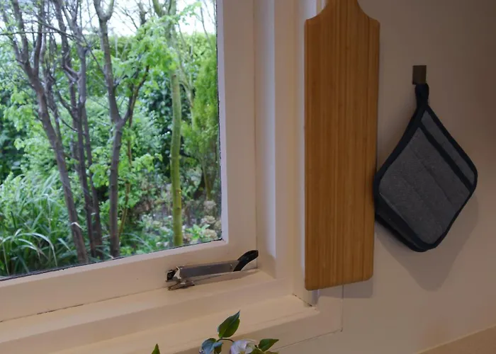 Vrije Vogels Tuin Met Privacy Nyaraló Warmenhuizen