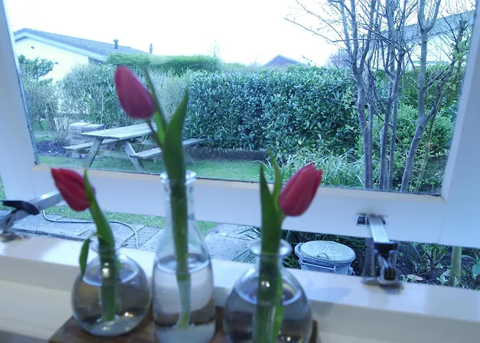 Nyaraló Vrije Vogels Tuin Met Privacy