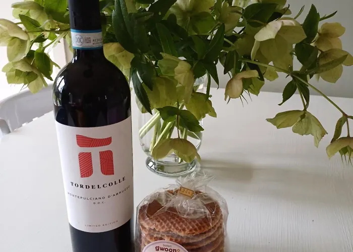 Vrije Vogels Tuin Met Privacy * Warmenhuizen