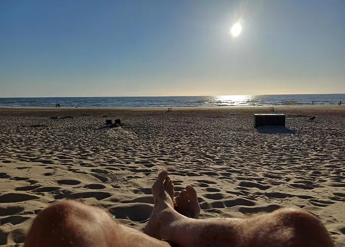 Vrije Vogels Tuin Met Privacy * Warmenhuizen