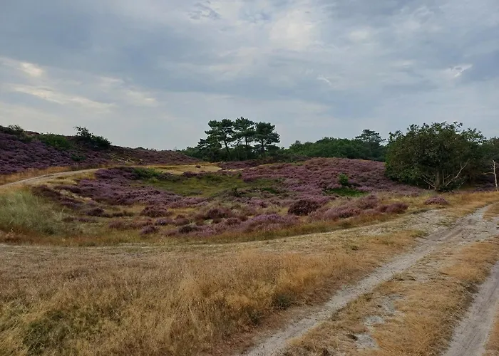 Vrije Vogels Tuin Met Privacy * Warmenhuizen