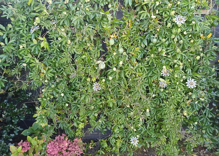 Vrije Vogels Tuin Met Privacy Σπίτι διακοπών *