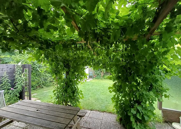 Vrije Vogels Tuin Met Privacy Σπίτι διακοπών *