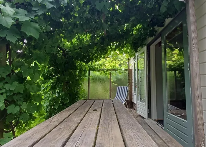 Vrije Vogels Tuin Met Privacy Σπίτι διακοπών Warmenhuizen