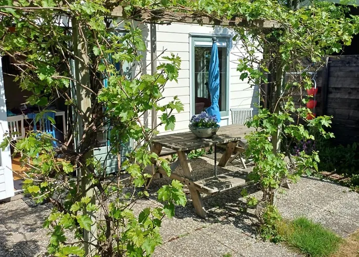 Vrije Vogels Tuin Met Privacy *