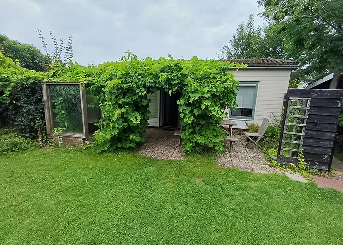 Vrije Vogels Tuin Met Privacy *