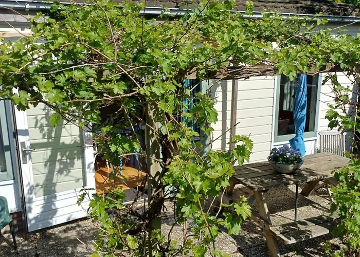 Vrije Vogels Tuin Met Privacy * Warmenhuizen