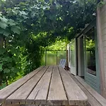 Vrije Vogels Tuin Met Privacy Hébergement de vacances Warmenhuizen