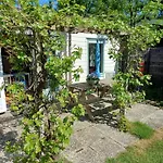 Vrije Vogels Tuin Met Privacy *
