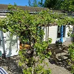 Vrije Vogels Tuin Met Privacy * Warmenhuizen