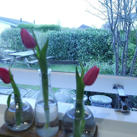 Casa de Férias Vrije Vogels Tuin Met Privacy