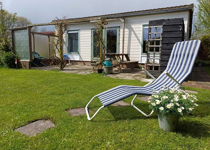 Vrije Vogels Tuin Met Privacy *